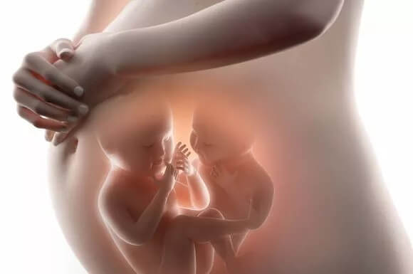 ARTICOLO SULLA VITA PRENATALE